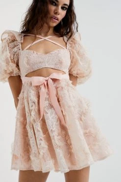 Ready-to-Wear Meredith Mini Dress Shop