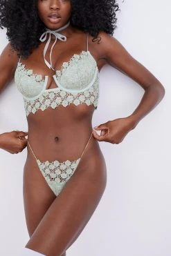 Victorias Secret Twinkle Rose Bustier