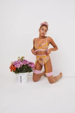 Victorias Secret Sorbet Rose Garter Belt New