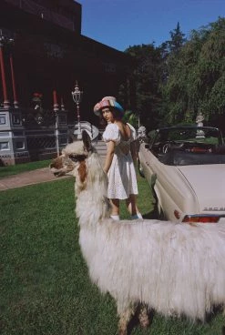 Ready-to-Wear Becca Mini Dress Little White Dresses