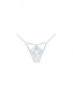 Victorias Secret Shop Clementine Thong Panty