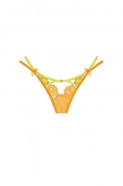 Victorias Secret Neon Rose Embroidery Panty Shop