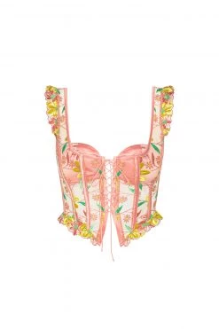 Victorias Secret Shop Daisy Jane Embroidery Bustier