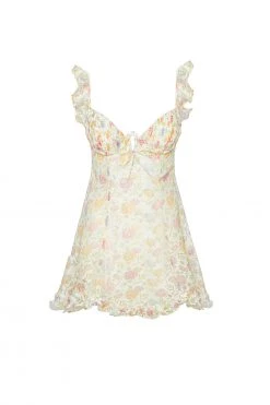 Victorias Secret Rosie Slip Dress 17 Victorias Secret Rosie Slip Dress